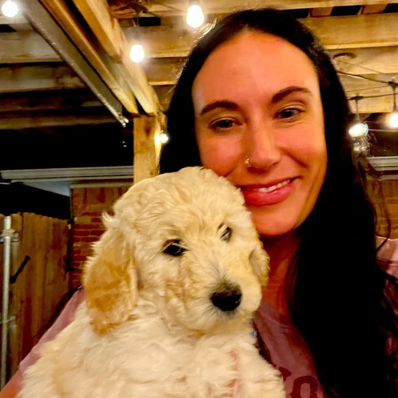 Meet your Posher, Ashley - Picture 1 of 1